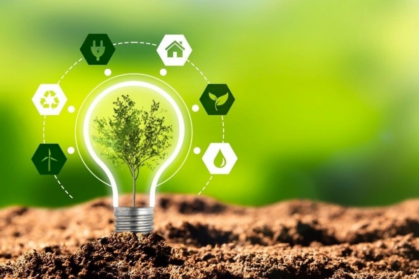 “Yaşıl əjdaha” ilindən yola saldığımız ilin “yaşıl enerji” siyasətinə ötəri baxış