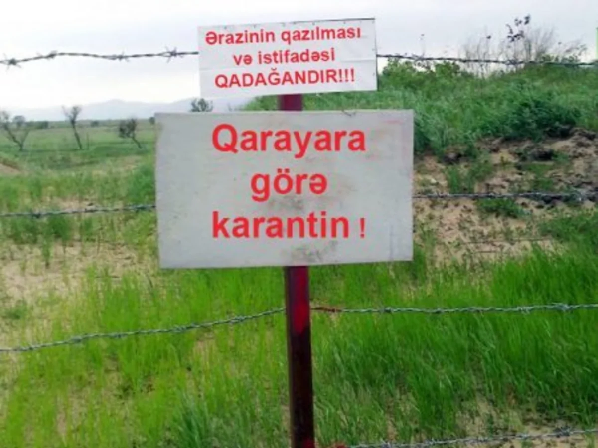 Azərbaycanda qarayara xəstəliyinə qarşı aparılan peyvəndləmələr başa çatıb