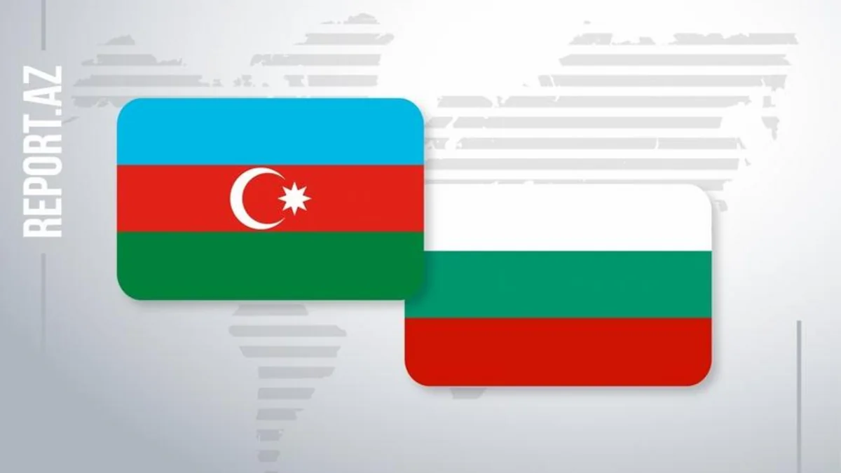 Bolqarıstanda təbii qaz Azərbaycandan gələn yanacaq hesabına ucuzlaşıb