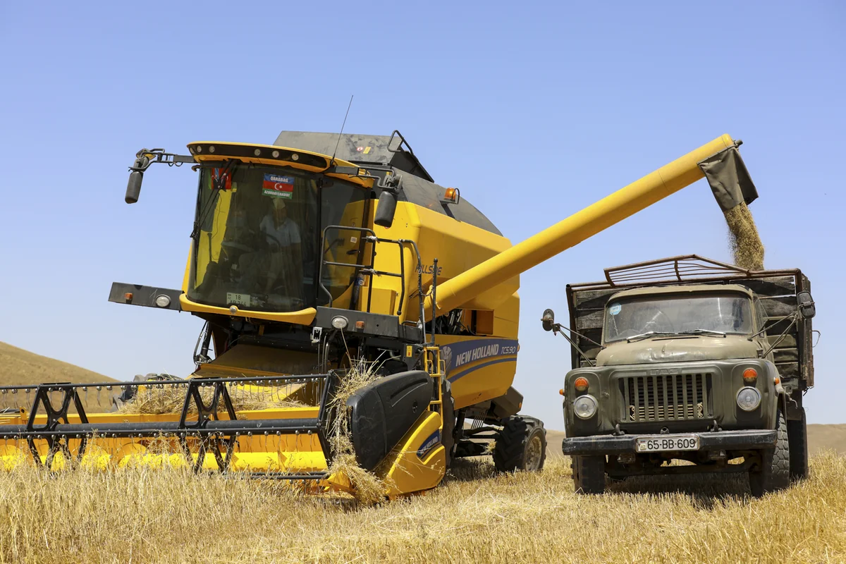 В Азербайджане уборка зерновых завершена на 98%