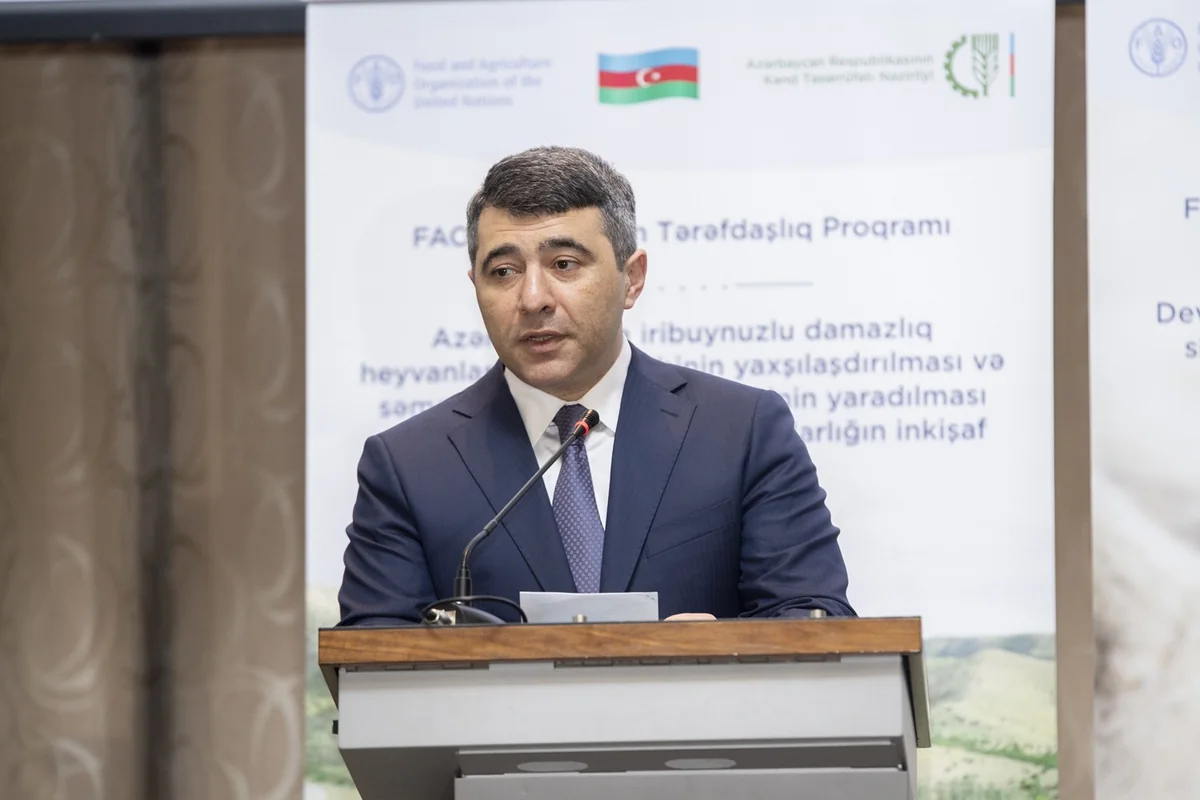 İnam Kərimov: “FAO ilə birlikdə yeni layihələrin icrasına başlanılması gözlənilir” - YENİLƏNİB