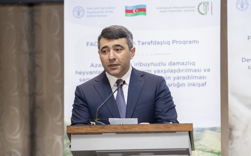 İnam Kərimov: “FAO ilə birlikdə yeni layihələrin icrasına başlanılması gözlənilir” - YENİLƏNİB