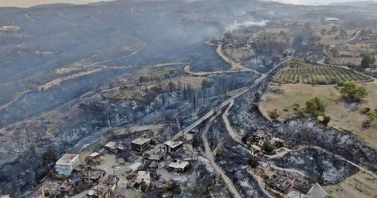 Türkiyədə 81 yanğın ocağından 70-i lokallaşdırılıb