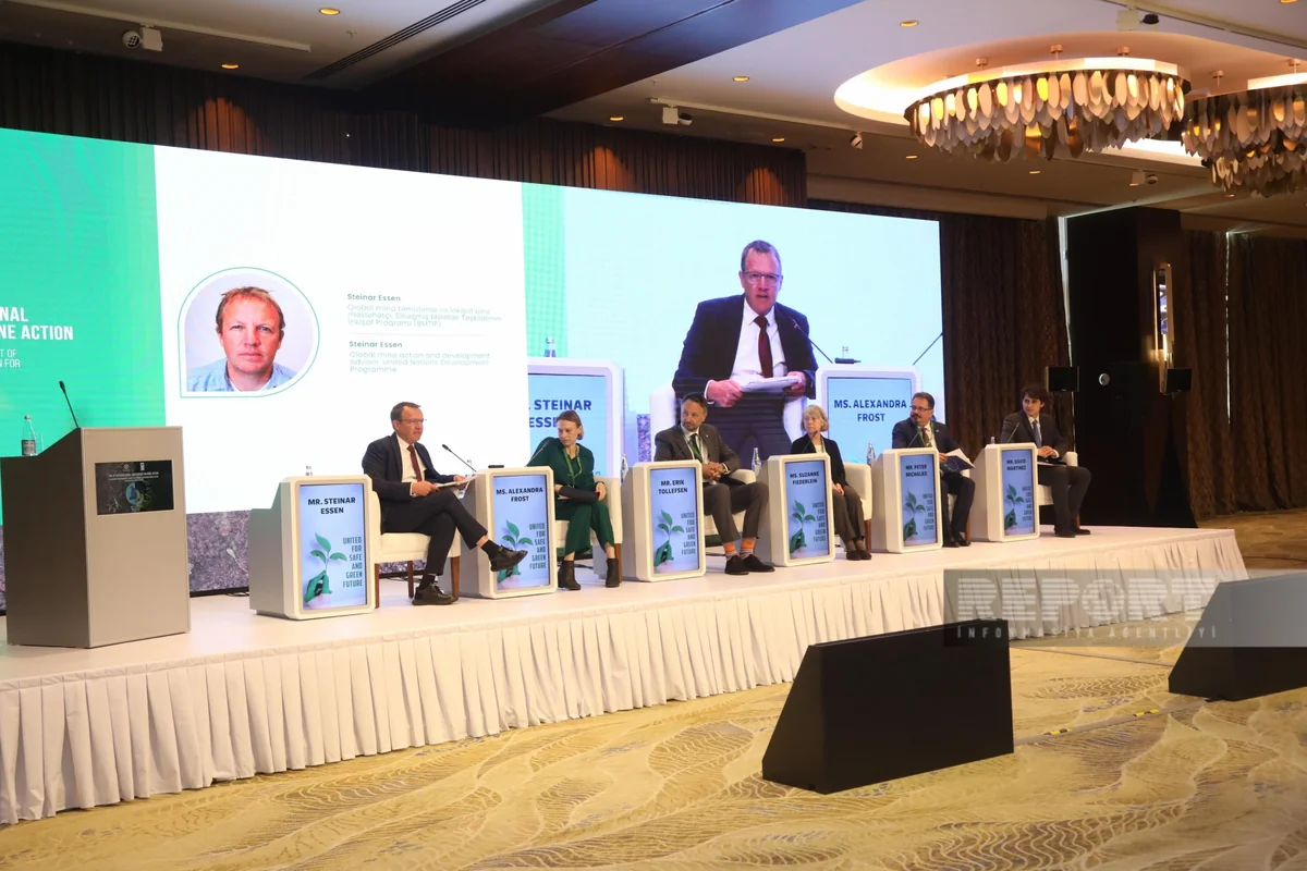 Participants of 3rd international conference on mine action adopt declaration