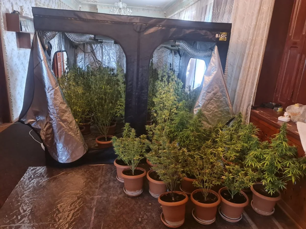 Ucarda evində narkotik parniki yaradan şəxs saxlanılıb