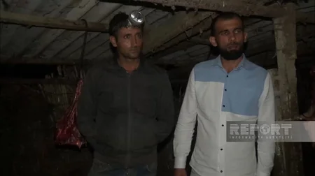 3 baş atı kəsərək ətini Bakıda satmaq istəyən şəxslər saxlanılıb
