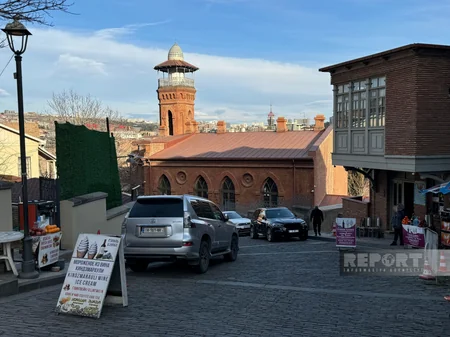Görkəmli Azərbaycanlılar Panteonu: dostluq rəmzi - Tbilisi Botanika Bağından REPORTAJ