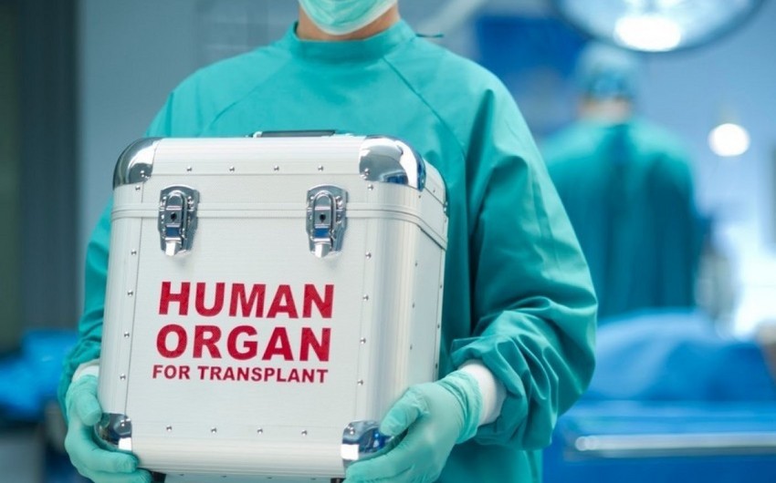 Keçən ilin 11 ayı ərzində icbari tibbi sığorta təminatı ilə 151 orqan transplantasiyası əməliyyatı icra olunub
