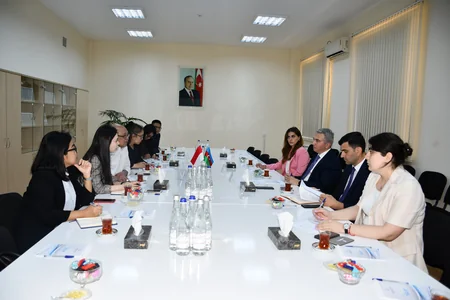İndoneziya şirkətləri Azərbaycanın sənaye zonalarına pul qoya bilər