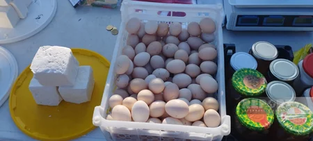 Qubada bayram yarmarkası təşkil olunub