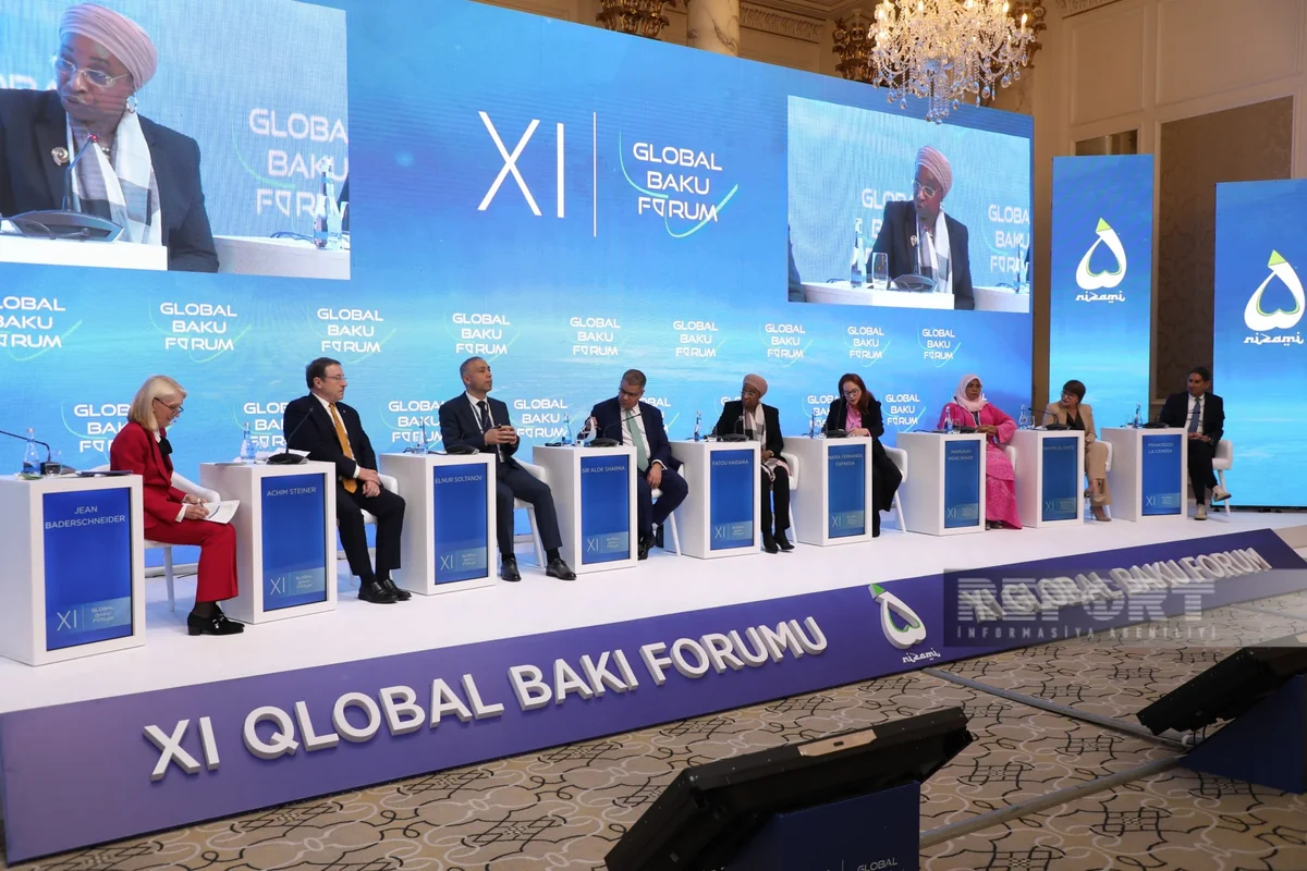 Deputy to Director-General: COP29 confronted with series of complex challenges