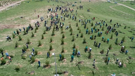 Azərbaycan səfiri Tbilisi meri ilə birgə ağac əkib