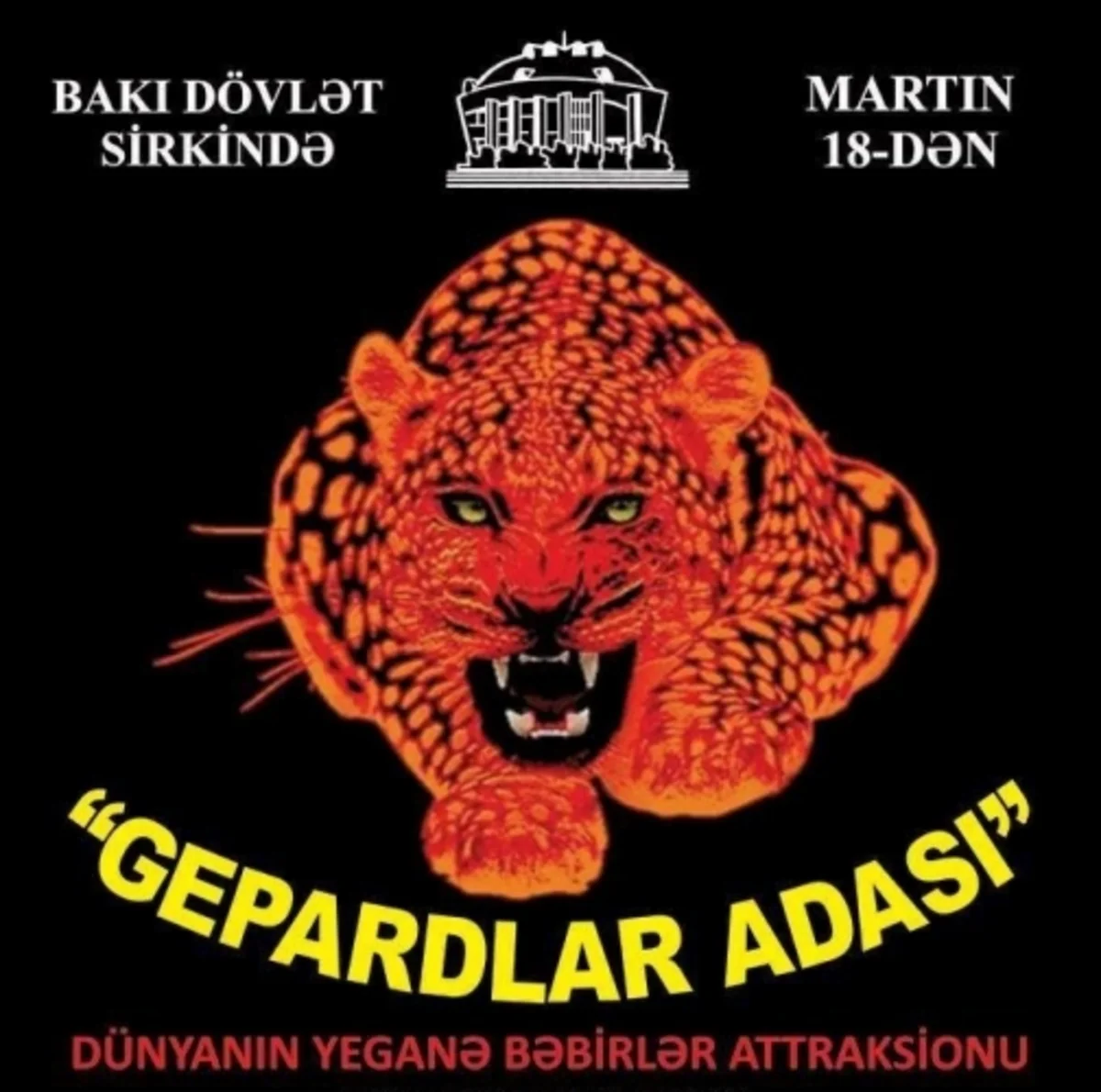 Gepardlar adası Bakı Dövlət Sirkinin arenasında nümayiş etdiriləcək