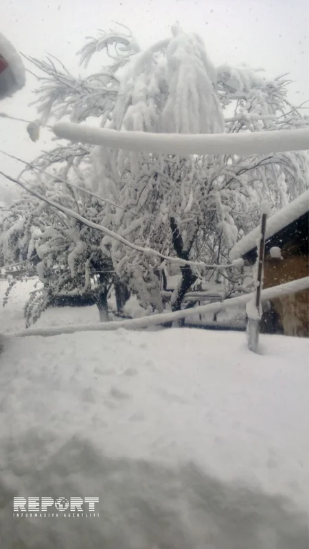Snow hits Lerik district of Azerbaijan, electricity supply ceased