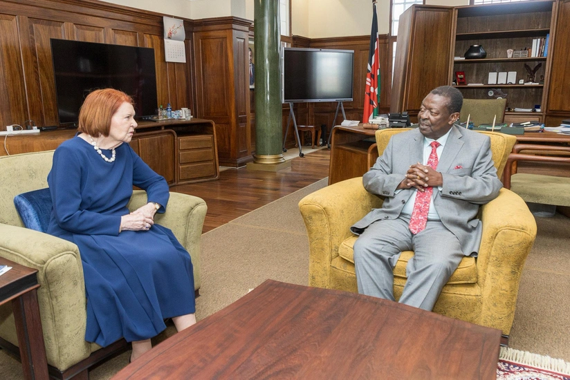 Делегация Центра Низами обсудила деятельность в Африке