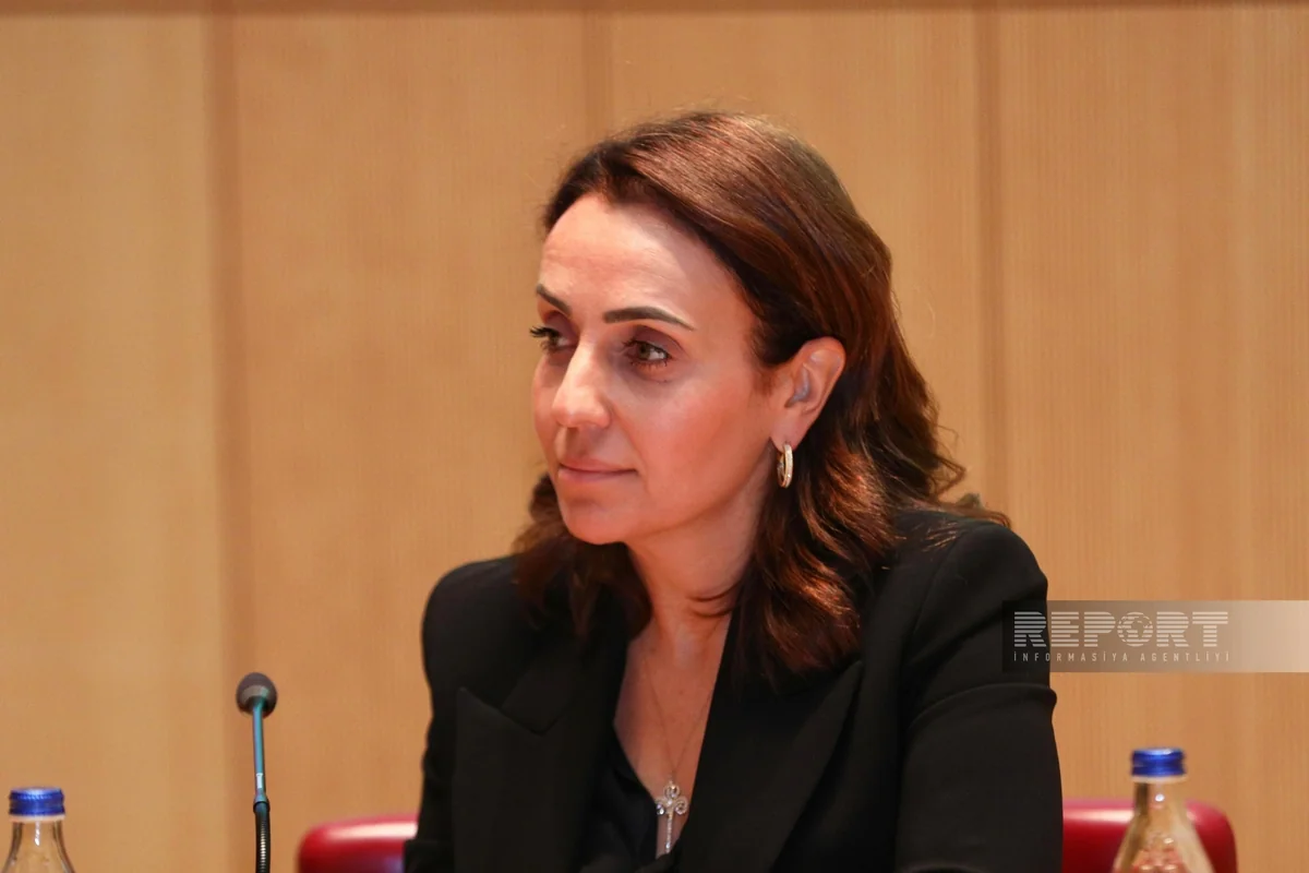 IFC rep: Climate financing for low and middle-income countries should be increased fourfold