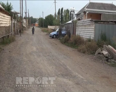 ​Ağstafada ev quşları arasında xəstəlik yayılıb - FOTO