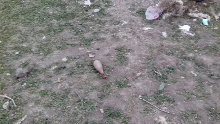 Tərtərdə minaatan mərmisi tapıldı - FOTO