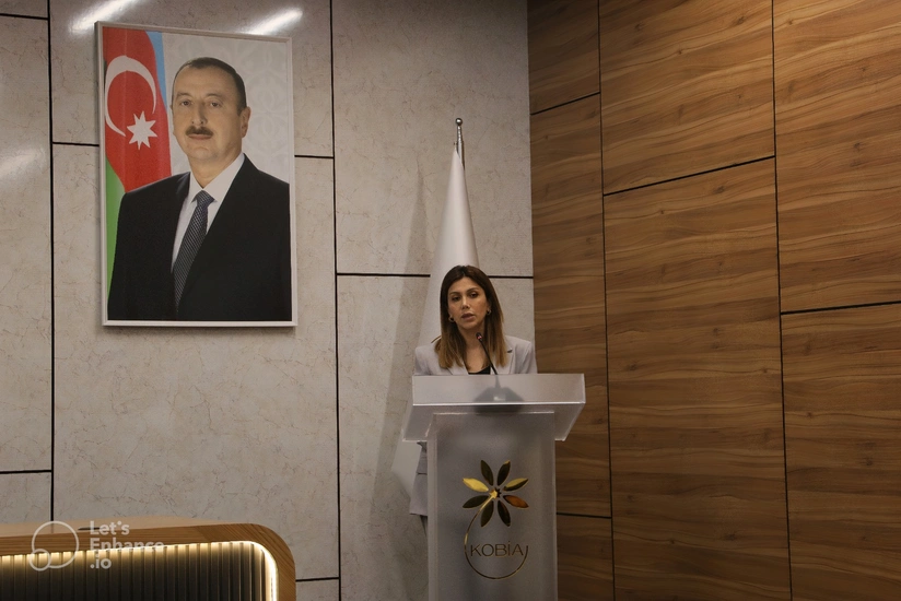 В Карабахе 442 проекта реализуются иностранными компаниями