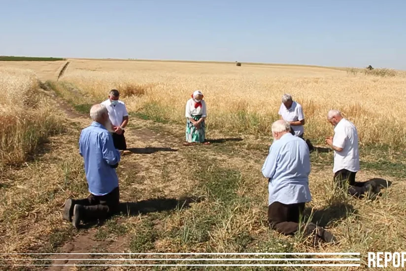 Интересная традиция в единственном колхозе Азербайджана - ВИДЕО