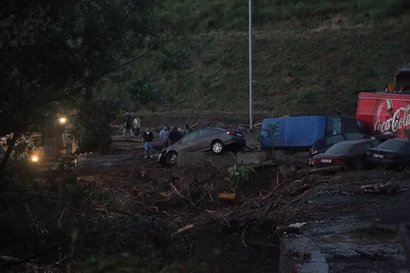 ​Tbilisidə zoopark dağılıb, heyvanlar şəhər küçələrinə axışıb - FOTO