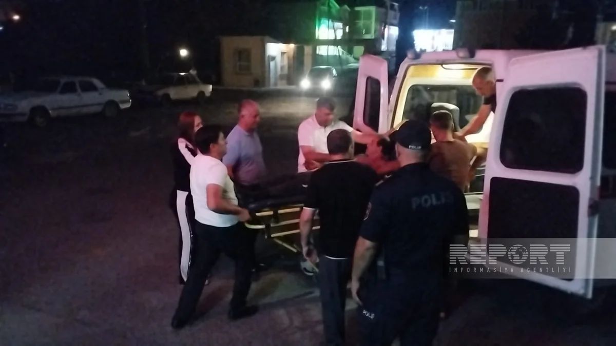 Oğuzda ayı 62 yaşlı kişiyə hücum edərək yaralayıb