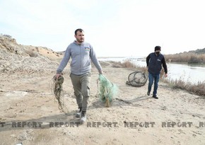 Salyanda qanunsuz balıq ovlayanlara qarşı reyd keçirilib - YENİLƏNİB