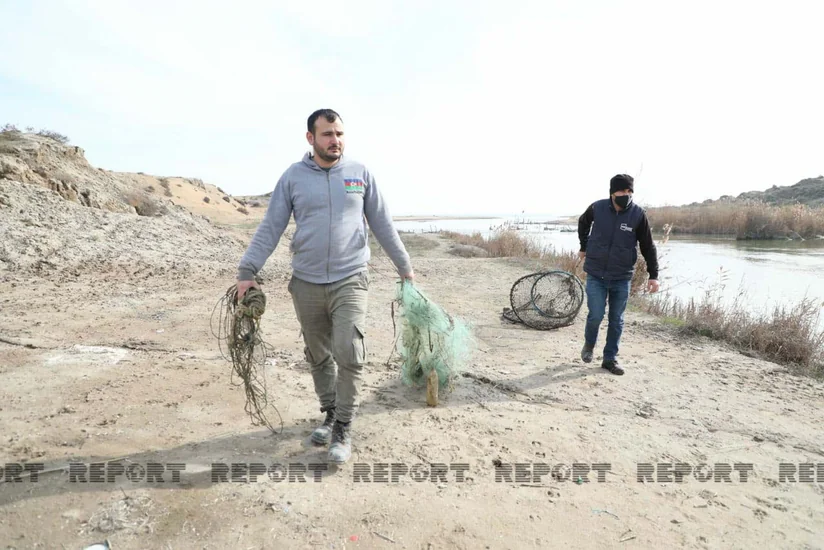 Salyanda qanunsuz balıq ovlayanlara qarşı reyd keçirilib - YENİLƏNİB