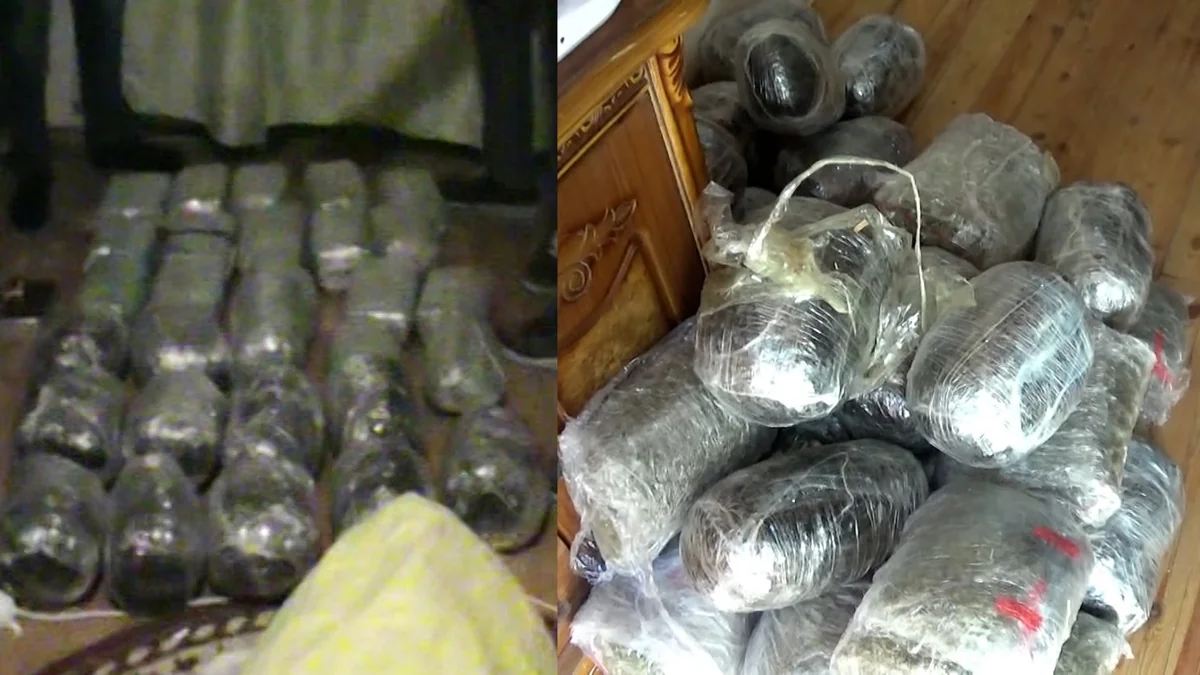 Azərbaycana 60 kiloqram narkotik maddə gətirən iki narkokuryer saxlanılıb