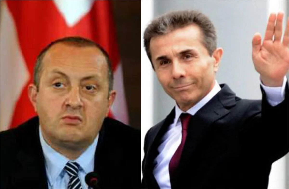 ​Gürcüstan prezidenti hökumətə müxaliflik etməkdə günahlandırılıb
