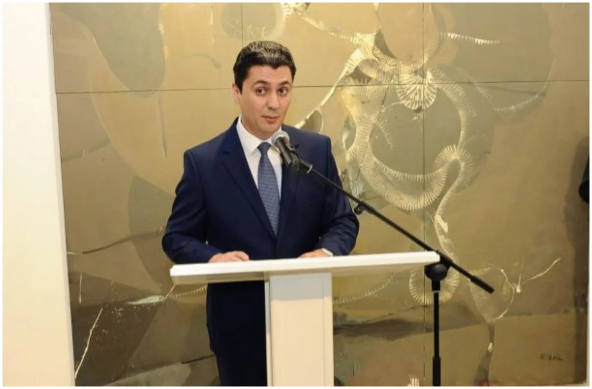 Müasir İncəsənət Muzeyi Xəyyam Abdinovun həbsi ilə bağlı məlumatlara münasibət bildirib