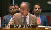 Pakistanın BMT-dəki nümayəndəsi: Hindistanla ciddi gərginlik riski var