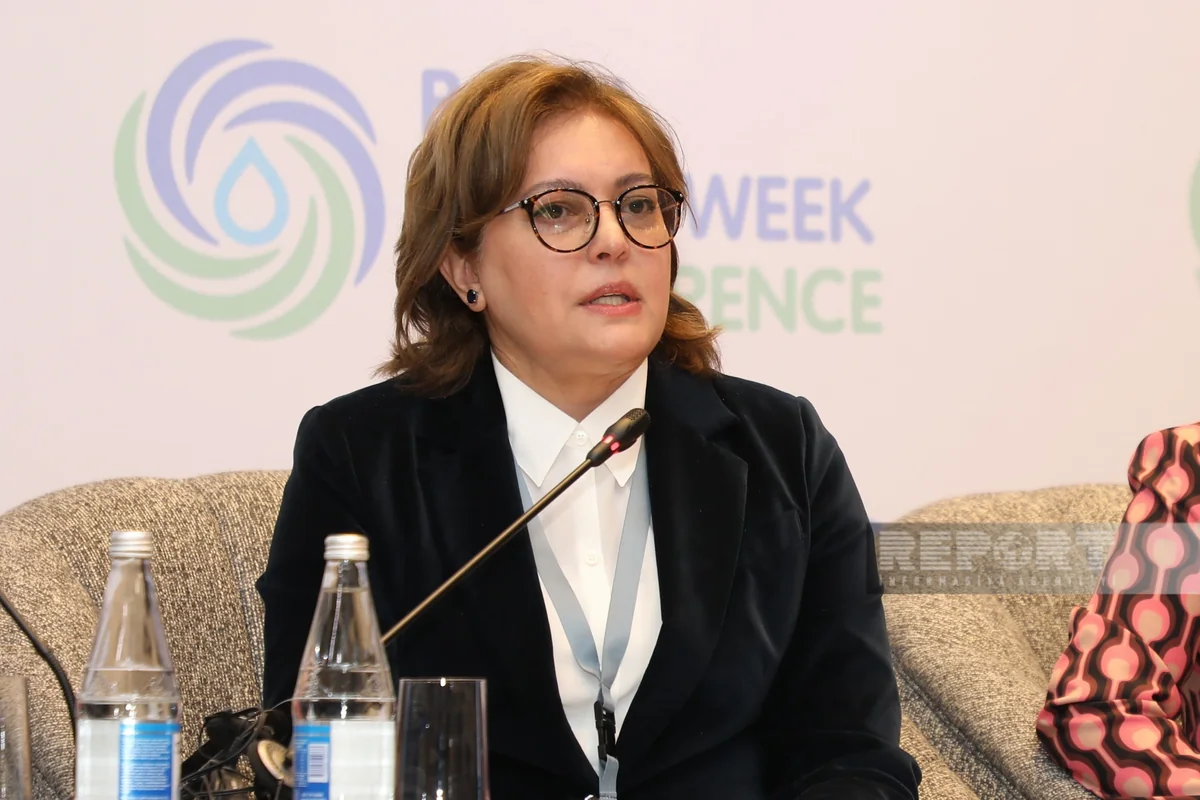 Umayra Tağıyeva: Su probleminin həllində regional əməkdaşlıq edə bilmirik