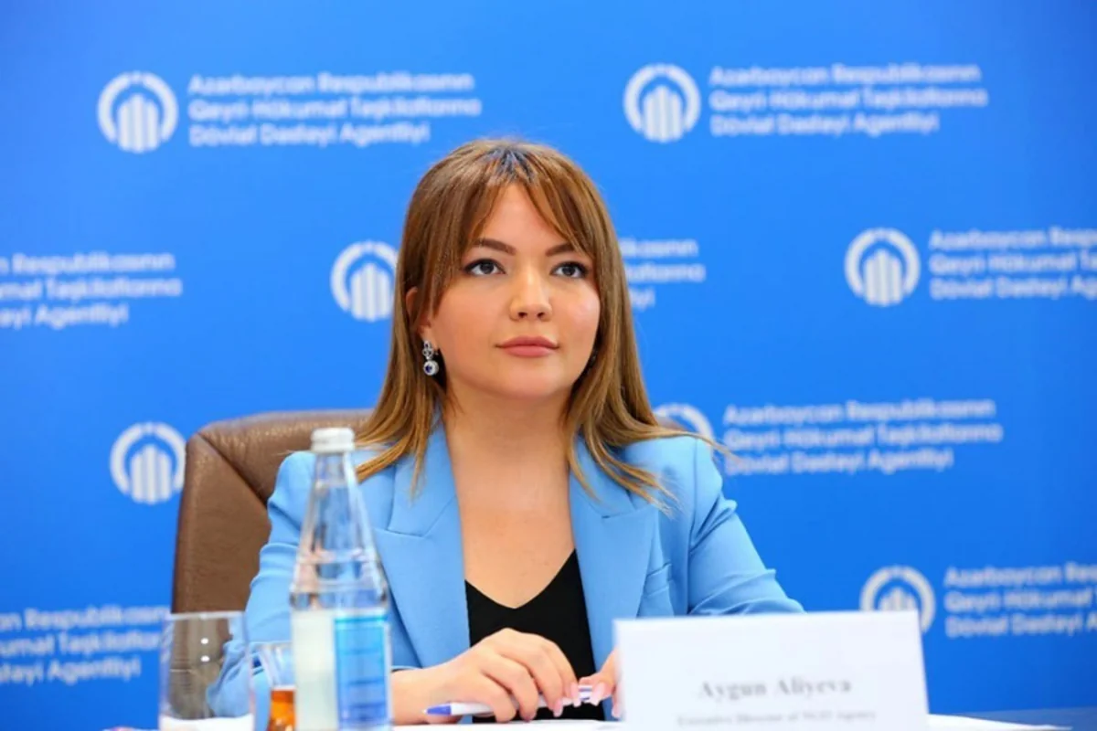 Official: Declaration of East Zangazur as green energy zone made ecological steps inevitable