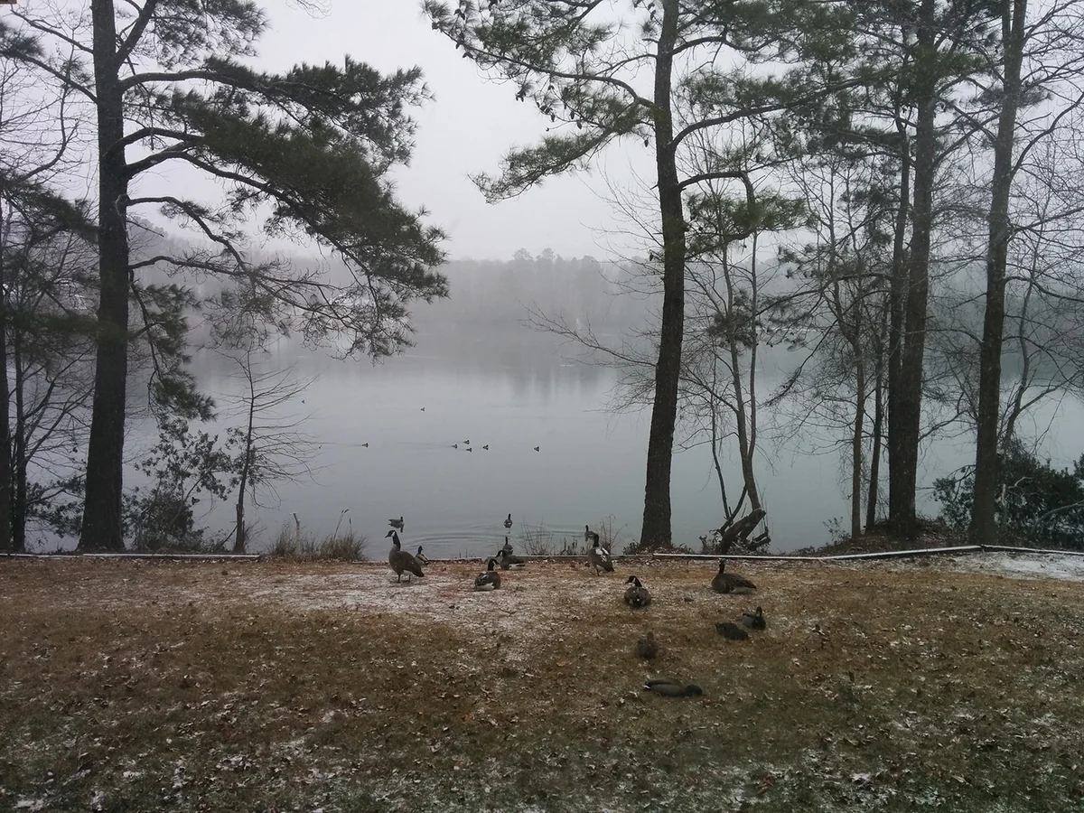 Weather forecast for next two days disclosed