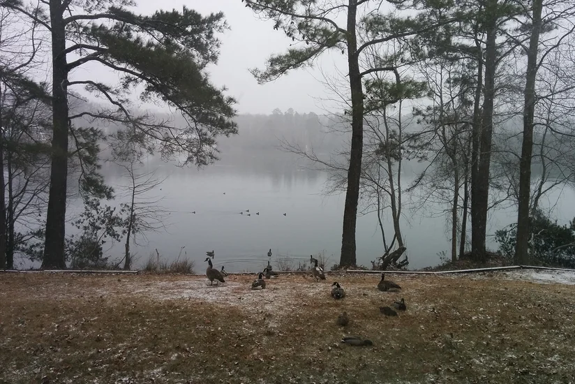 Növbəti 2 gündə müşahidə olunacaq hava proqnozu açıqlanıb