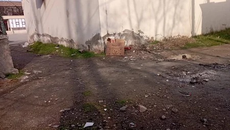 Kürdəmirdə ətraf mühitin çirkləndirilməsi halları üzrə 12 fakt aşkarlanıb