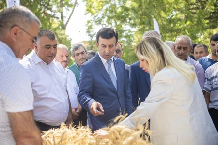 İsmayıllıda toxum sərgi-satış yarmarkası keçirilib