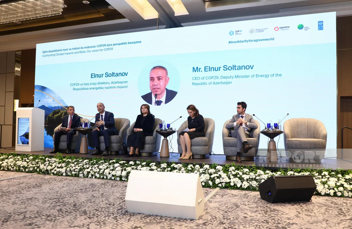 Umayra Taghiyeva: Floods in Azerbaijan are indicator of repercussions resulting from climate change