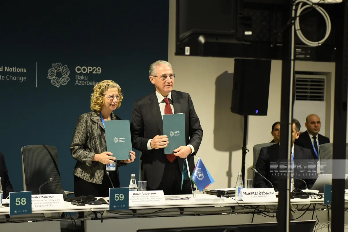 В рамках COP29 принята Декларация о климатических действиях по водным ресурсам