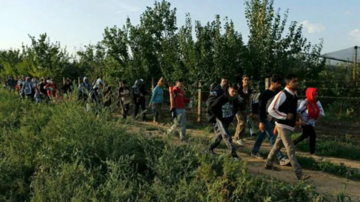 Xorvatiya Qərbi Avropaya yollanan miqrantlara kömək edəcək