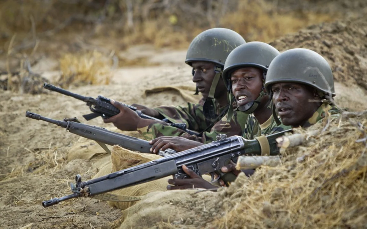 В Сомали уничтожены 10 террористов Аш-Шабаб