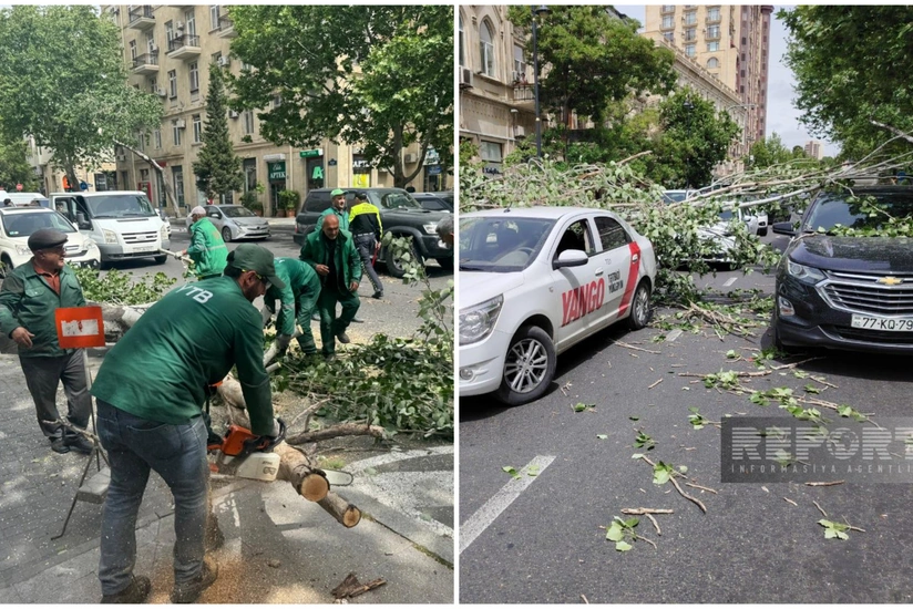 Güclü küləyin aşırdığı ağac götürülüb, yolda hərəkət bərpa olunub -  YENİLƏNİB -VİDEO