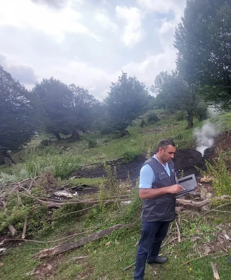 Qubada ağac kömürü istehsal edilən quyular aşkarlanıb