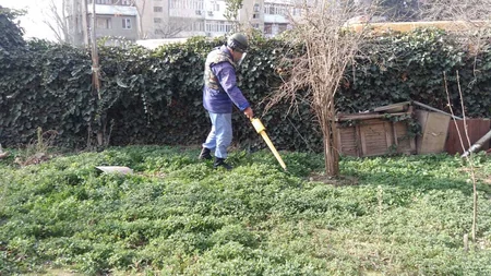 Bakının Xətai rayonunda əl qumbarası tapılıb