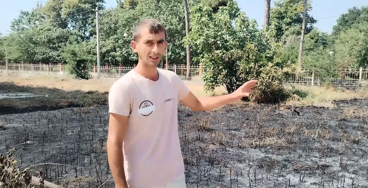 Masallıda yanğın törətməkdə şübhəli bilinən şəxs müəyyən edilib