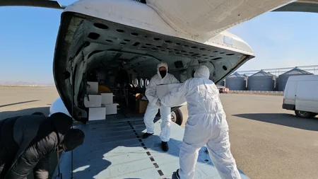 Helikopterlərlə vəhşi heyvanların quduzluğa qarşı peyvəndlənməsi aparılıb