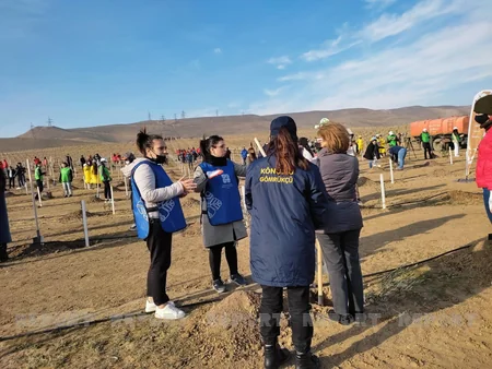 Xocasəndə 2000-dən çox müxtəlif cinsli ağac əkilib