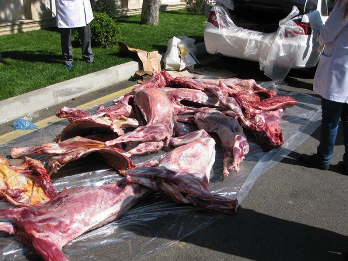 Sabirabad sakininin maşınından 335 kiloqram mənşəyi bilinməyən ət aşkar edilib