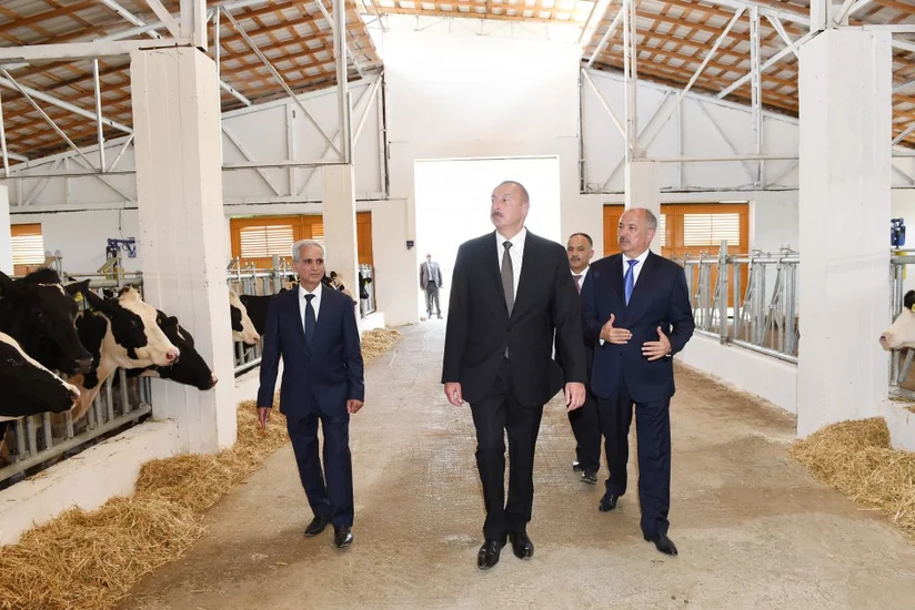 Prezident İlham Əliyev Cəlilabadda “Günəşli-Aqro” MMC-nin aqroparkında yaradılan şəraitlə tanış olub